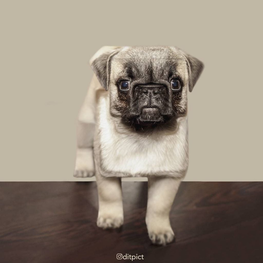 Genius Artists Turns Real-Life Animals Into Minecraftean Freaks