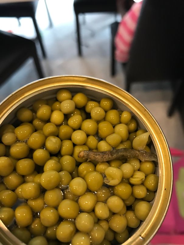20 Absolutely Horrible Food Fails