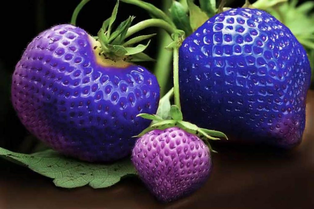 8 Strange And Colorful Inventions That Rocked The Food Industry