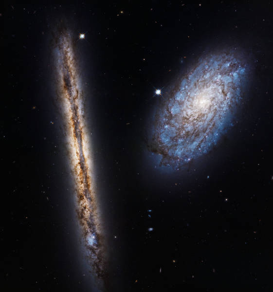 Our Universe Is Freaking Huge and Terrifying! (But in a Good Way)