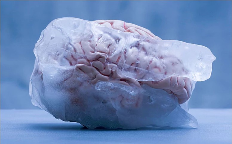 7 Everyday Habits That Are Destroying Our Brain