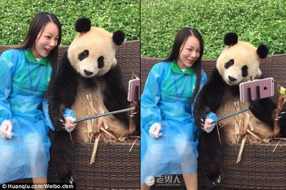 Giant Panda Poses For Selfies With Tourists And It’s Beyond Cute