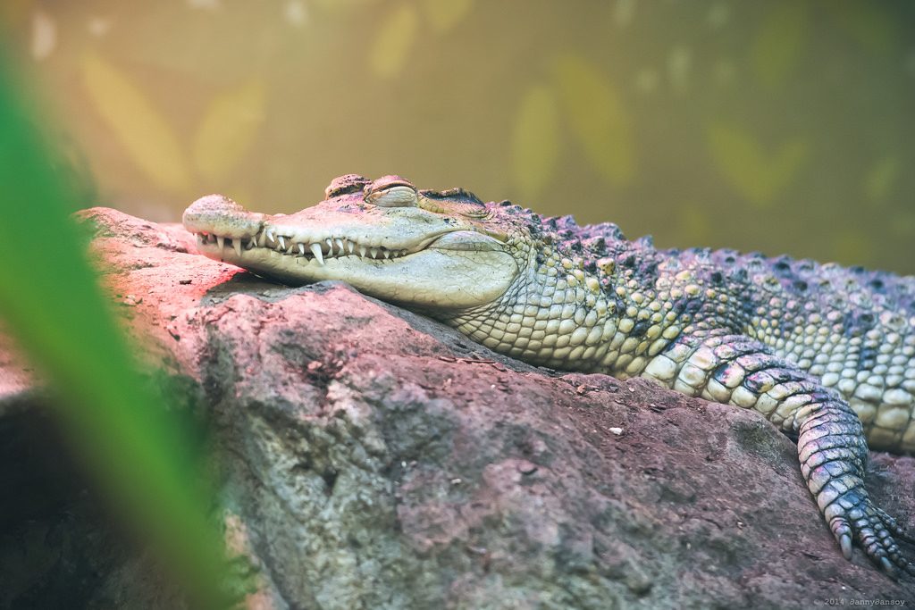 10 Mind-Bending Facts About Our Planet You’ve Never Heard Before