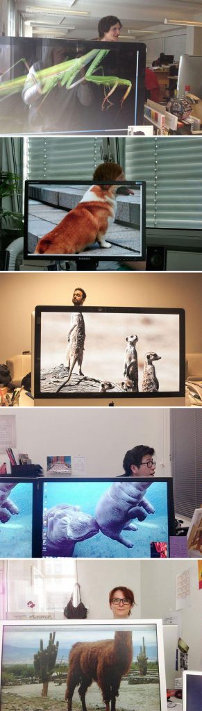 20 Clever Desktop Wallpapers That Will Make You Look Twice
