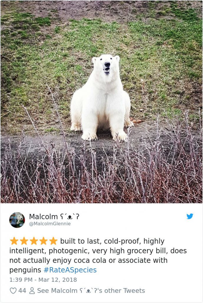 Funny Amazon-Like Reviews Of Weird Animals Are Taking Over Twitter (20 Pictures)