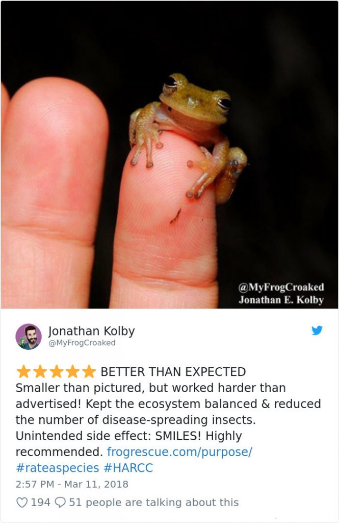 Funny Amazon-Like Reviews Of Weird Animals Are Taking Over Twitter (20 Pictures)