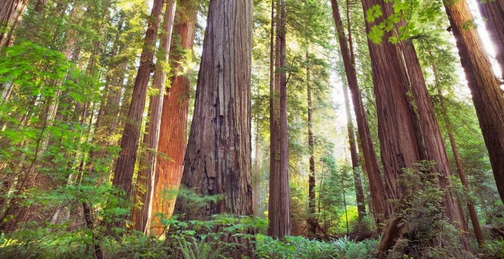 Star Wars Locations You Can Visit Without Buying A Space Ship