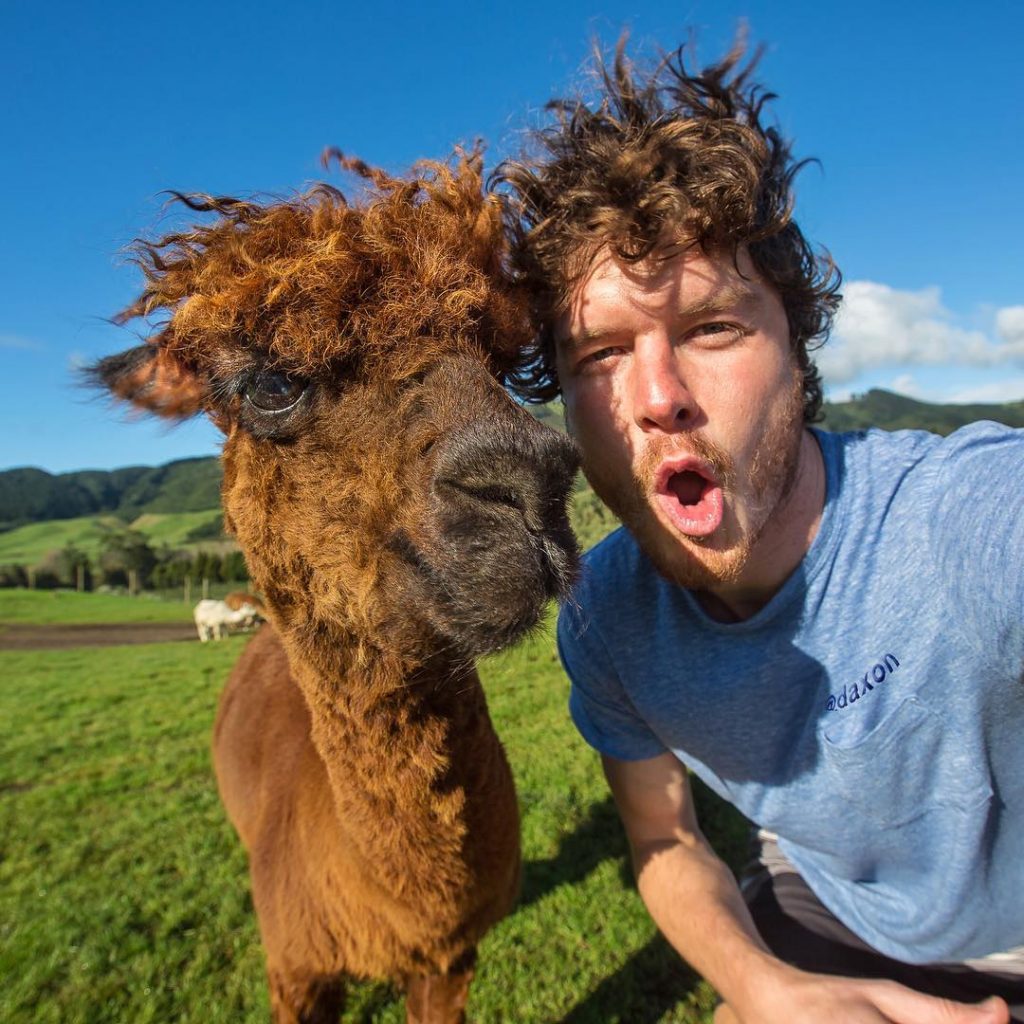 10 Bizarre Instagram Accounts That Will Make You Laugh, Frown, And Then Hit ‘Follow’