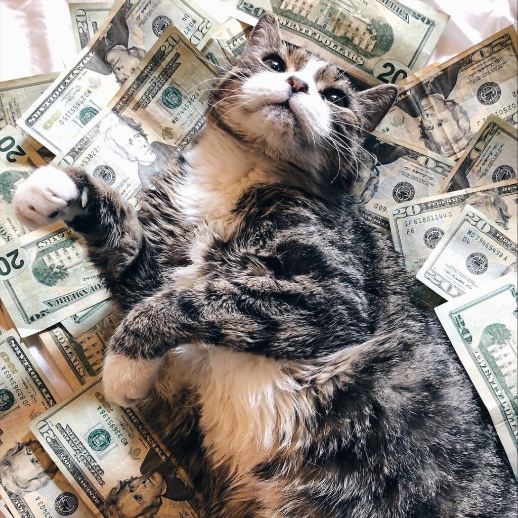 10 Bizarre Instagram Accounts That Will Make You Laugh, Frown, And Then Hit ‘Follow’