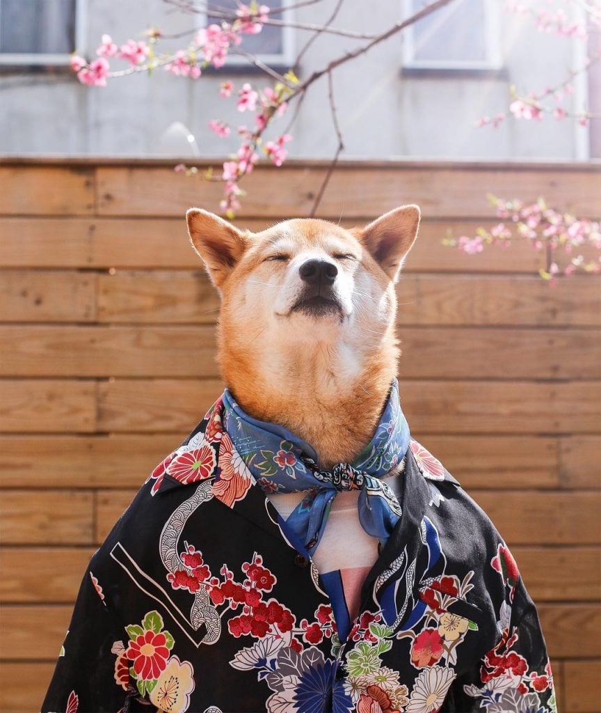 10 Bizarre Instagram Accounts That Will Make You Laugh, Frown, And Then Hit ‘Follow’