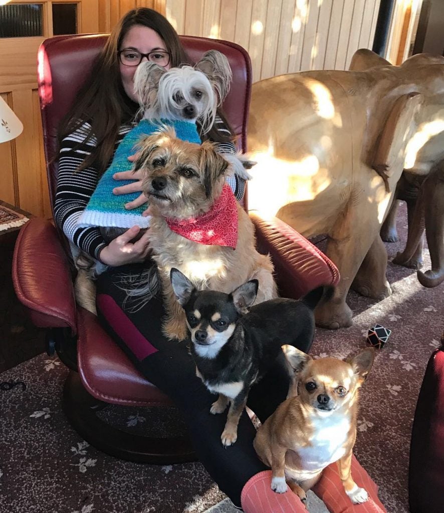 Is This The Weirdest Pet Instagram Ever?