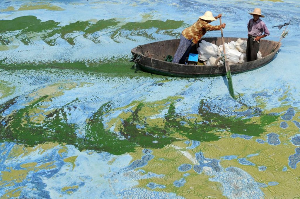 20 Times Art Created By Nature Was Much Better Than The Actual Art