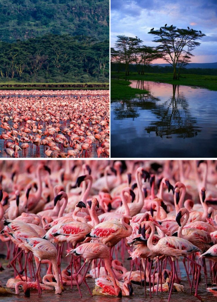 9 Little-Known Stunning Natural Wonders