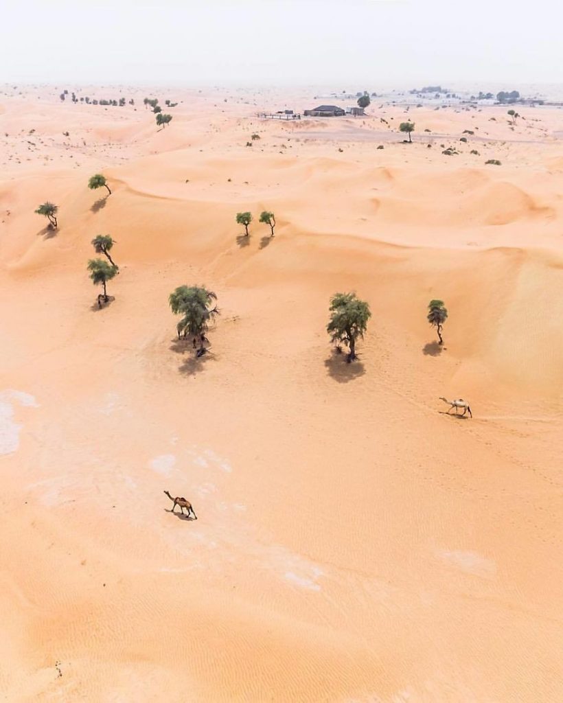 These Pictures Show Dubai And Abu Dhabi Being Retaken By The Desert