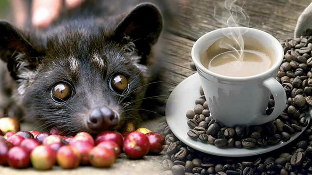 Top 10 of the World’s Rarest and Most Expensive Tea