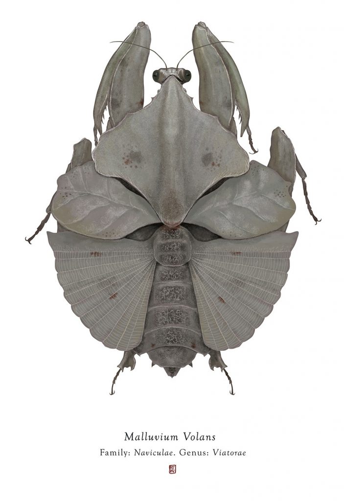 Characters From Star Wars Imagined As Bugs