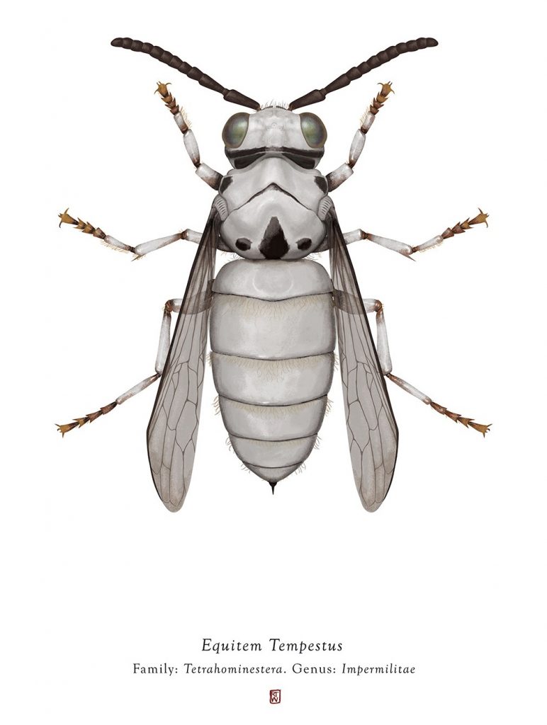 Characters From Star Wars Imagined As Bugs