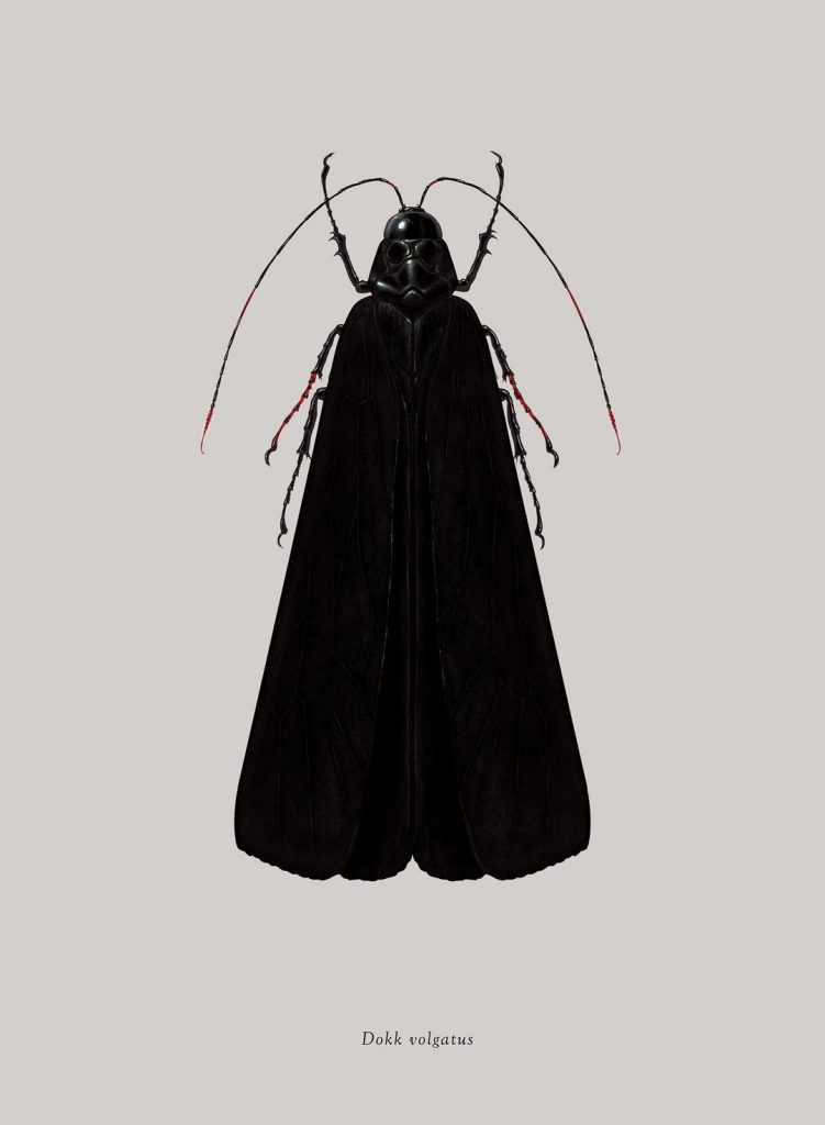 Characters From Star Wars Imagined As Bugs