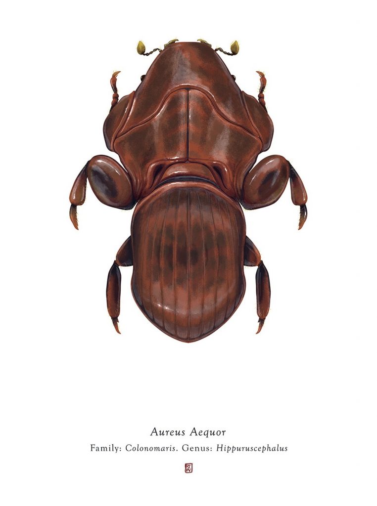 Characters From Star Wars Imagined As Bugs