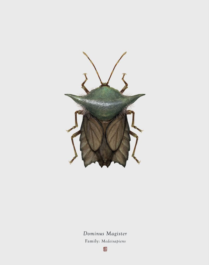 Characters From Star Wars Imagined As Bugs