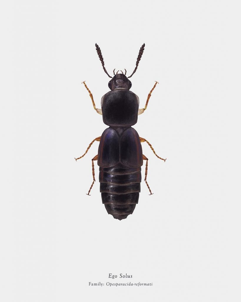Characters From Star Wars Imagined As Bugs