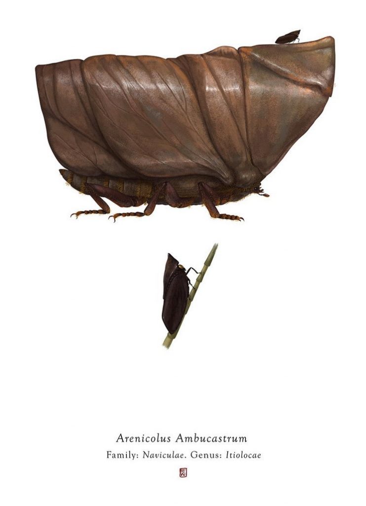 Characters From Star Wars Imagined As Bugs
