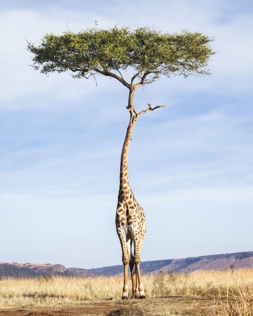 Justin Peters Does Amazing Things With Photoshop