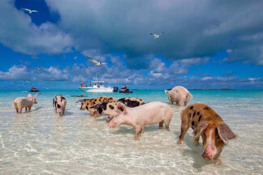 10 Quirky Islands From Around the World