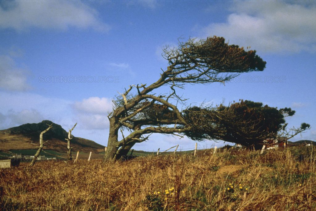 14 Awesome Facts About Weather