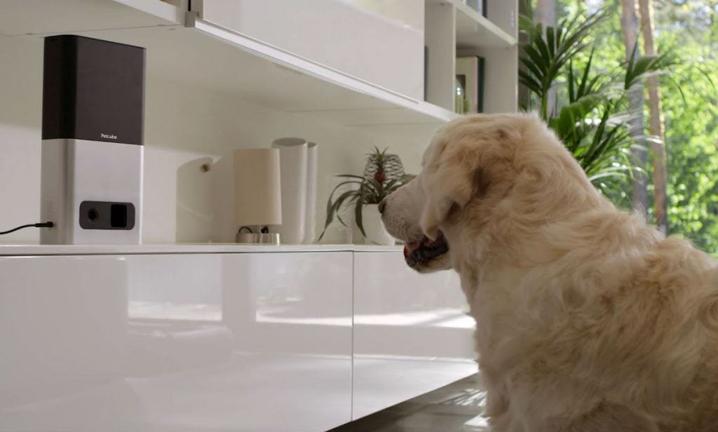 12 Futuristic Technological Marvels That You Need To Own