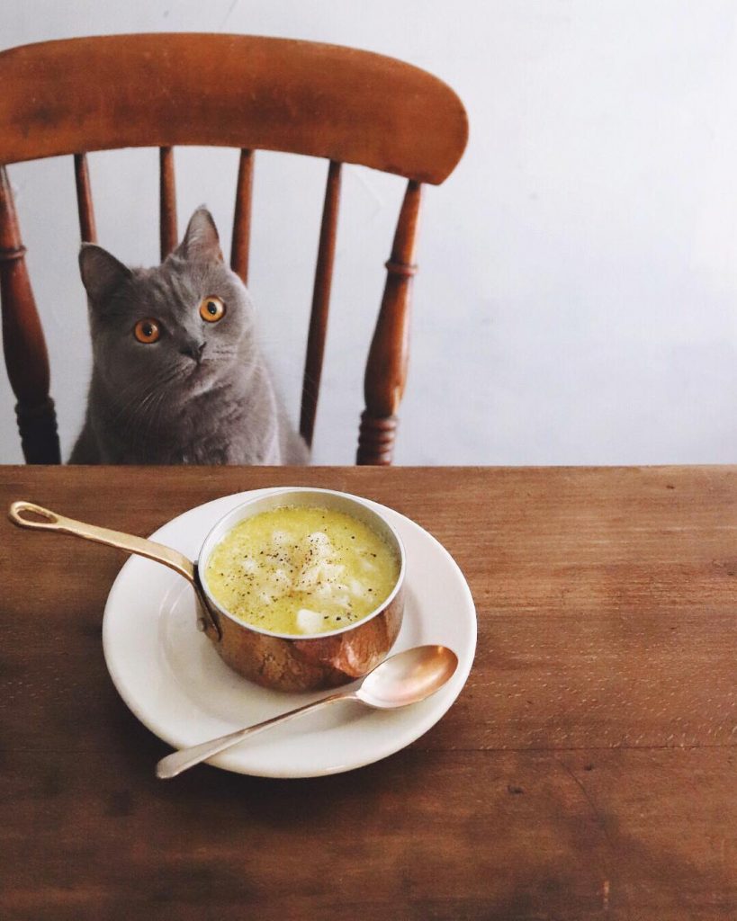 12 Foodie Instagrammers From Japan To Follow Right Now