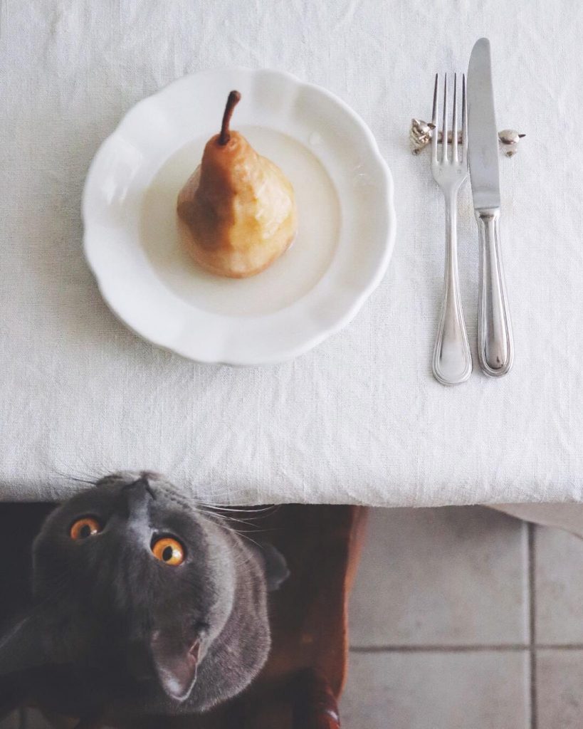 12 Foodie Instagrammers From Japan To Follow Right Now