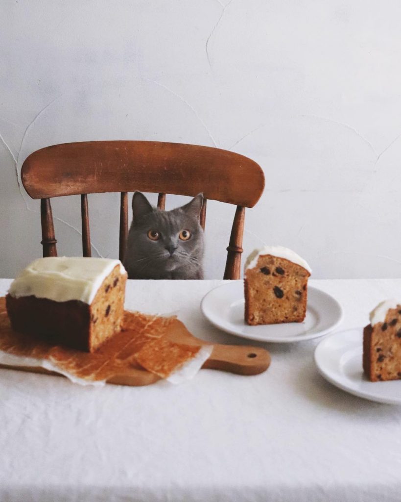 12 Foodie Instagrammers From Japan To Follow Right Now