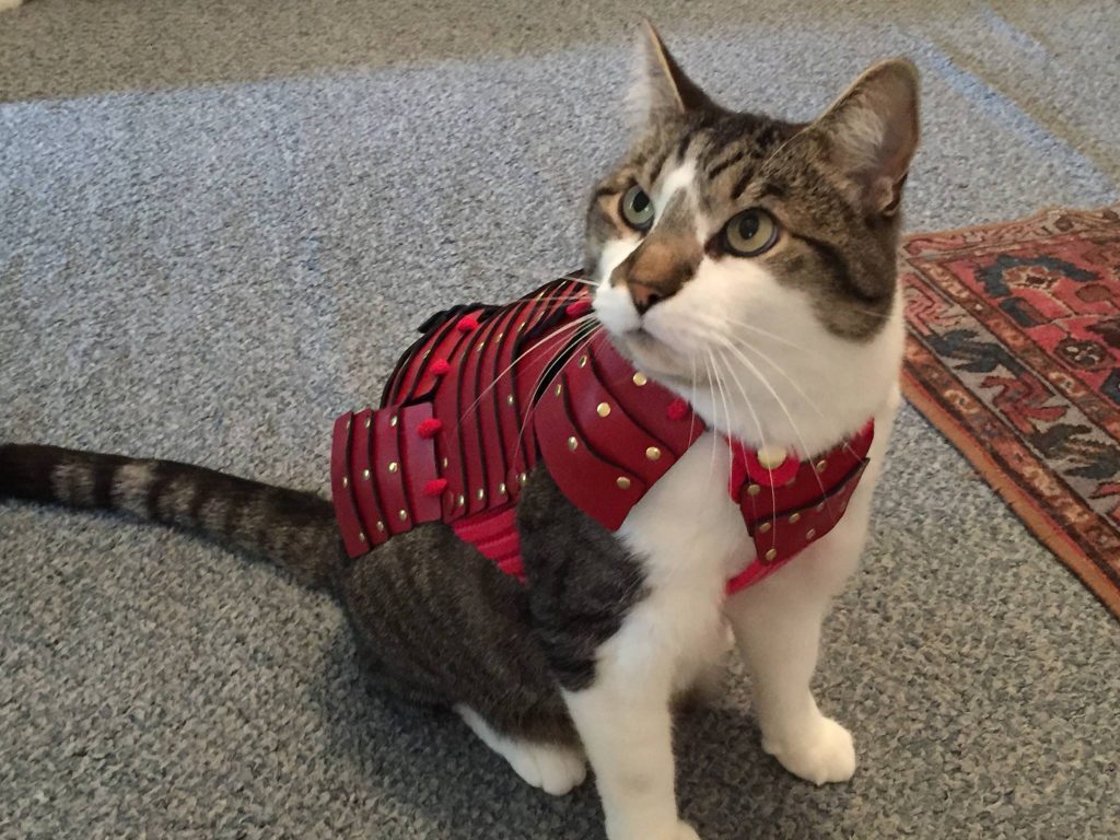 Samurai Armor For Your Cats And Dogs Are An Actual Thing! (15 Pics)