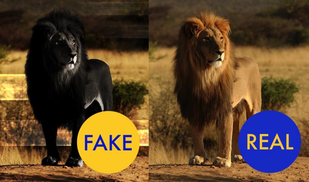 14 Viral Images That Are Actually Fake