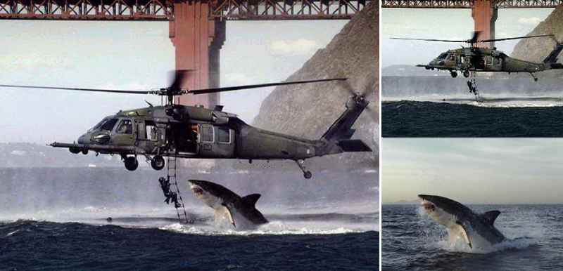 14 Viral Images That Are Actually Fake