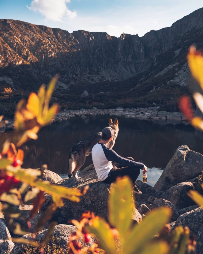 A Man And His Wolf Dog VS. Mother Nature