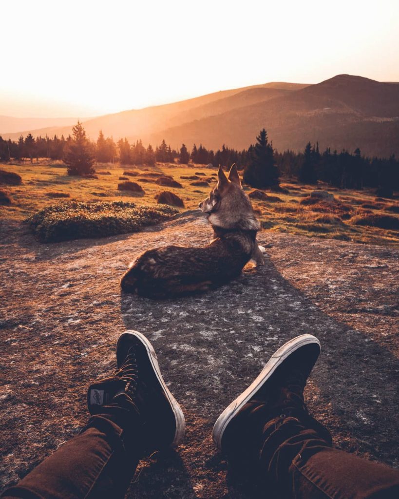 A Man And His Wolf Dog VS. Mother Nature