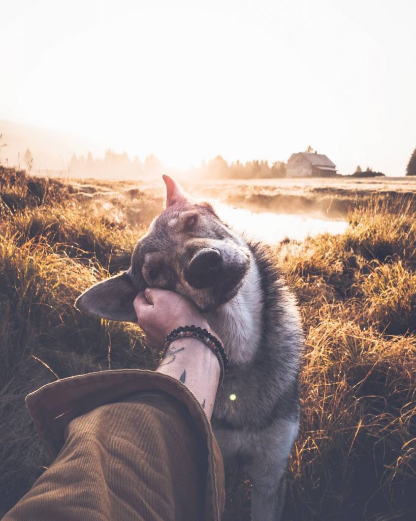 A Man And His Wolf Dog VS. Mother Nature