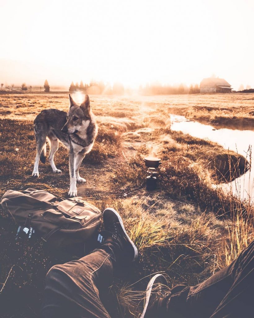 A Man And His Wolf Dog VS. Mother Nature