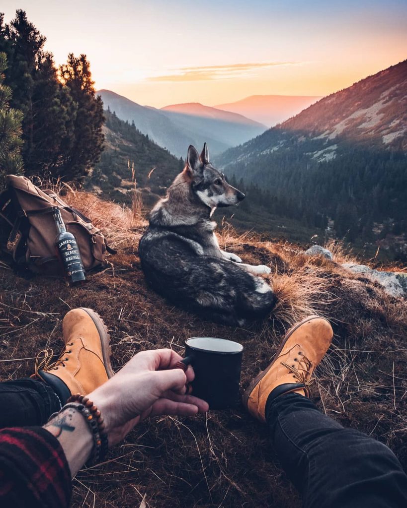 A Man And His Wolf Dog VS. Mother Nature