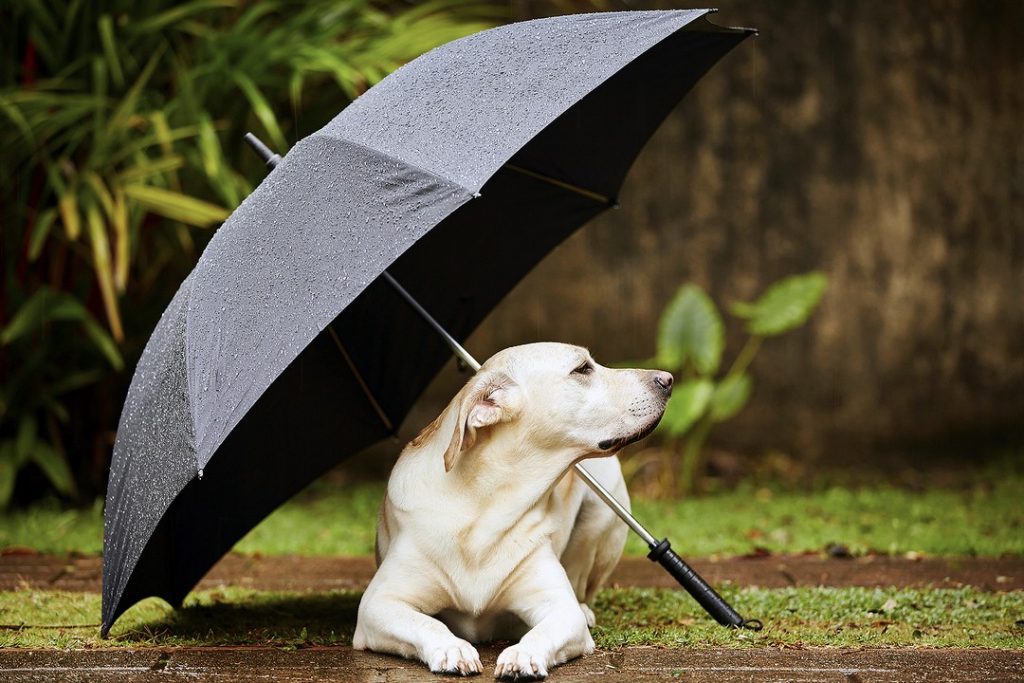 Things You Shouldn’t Do In A Thunderstorm