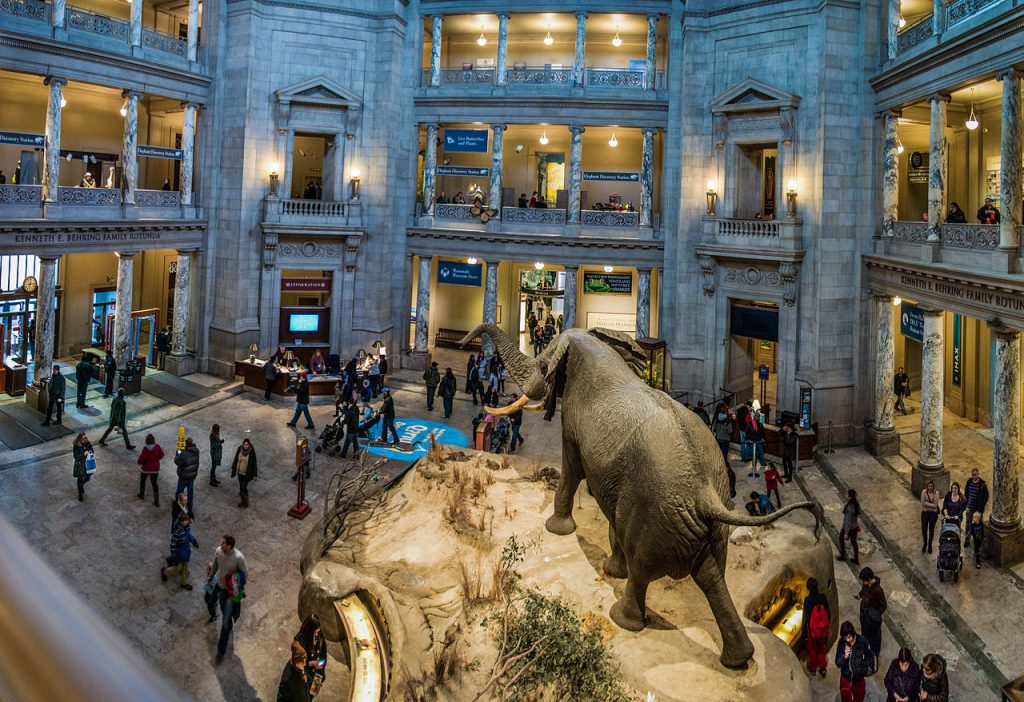 10 World’s Most Popular Museums