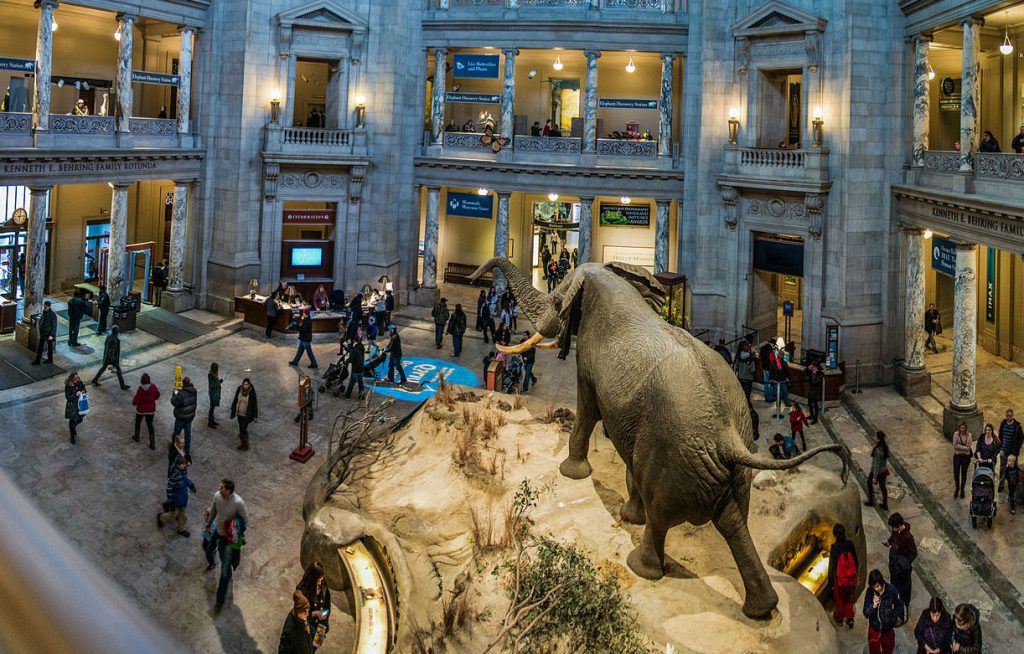 10 World’s Most Popular Museums