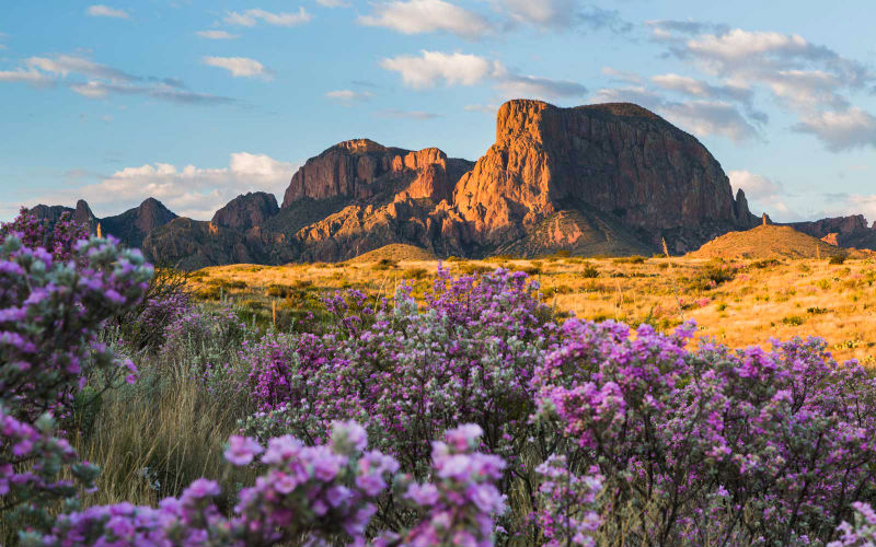 The 11 Most Fascinating Deserts in the World