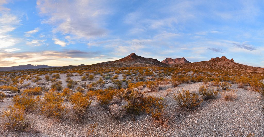 The 11 Most Fascinating Deserts in the World