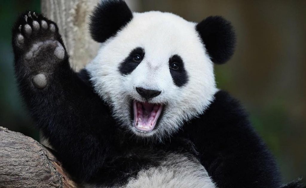 15 Mildly Impressive Facts About China That Will Nonetheless Blow You Away