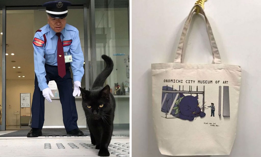Why Are These Japanese Cats Trying To Sneak Into A Museum?