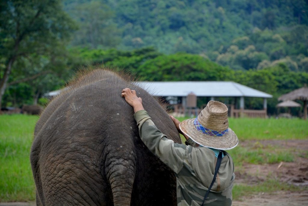 10 Things You Need to Know Before Visiting Thailand