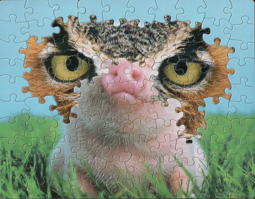 Tim Klein Makes Puzzle Montage Art And It’s Awesome